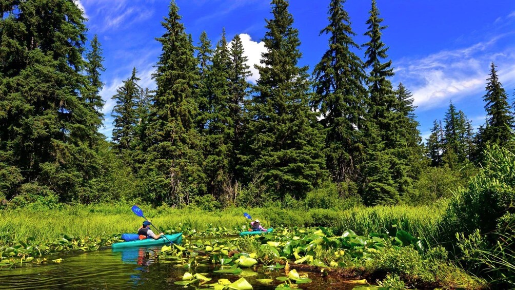 River of Golden Dreams Canoe or Kayak Tour - Guided