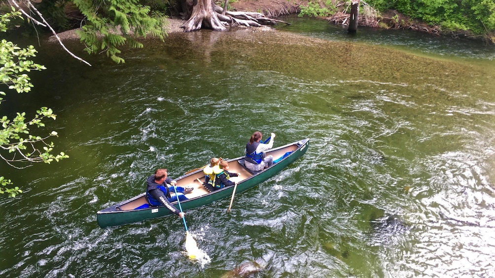 River of Golden Dreams Canoe or Kayak Tour - Guided
