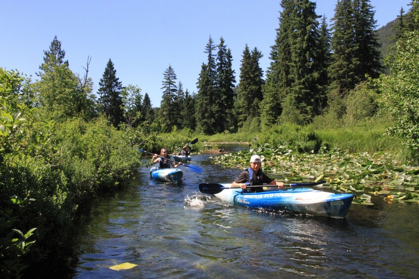 River of Golden Dreams Canoe or Kayak Tour - Guided