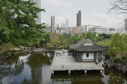 Private Sightseeing Tour in Hong Kong