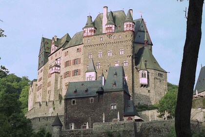 Frankfurt: Day Trip to Eltz Castle