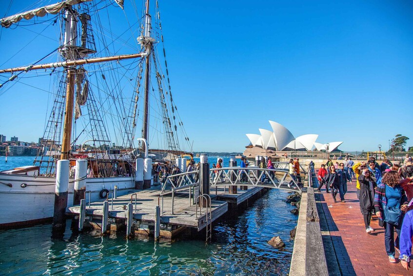 Picture 9 for Activity Sydney Harbour: Tall Ship Lunch Cruise