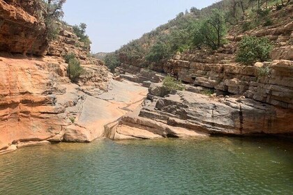 Excursion in Paradise Valley Taghazout, Tamraght