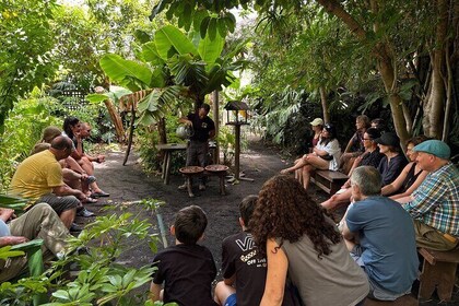 Eco Friendly Banana Cultivation Tour in La Palma
