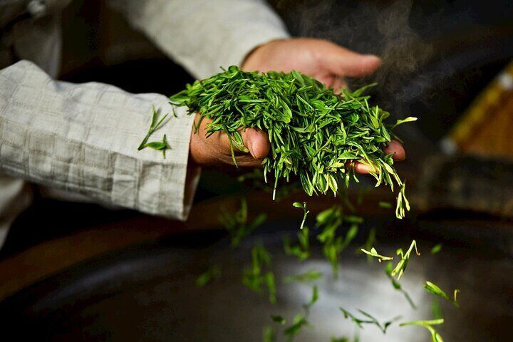 Authentic Hangzhou Longjing Tea Culture Experience Tour