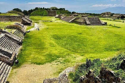 Charm Zapoteca Monte Albán Mezcal and Cuilápam Tour