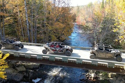 Laurentians: Guided buggy tour in the forest