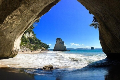 Cathedral Cove & Coromandel, Small-Group Tour from Auckland