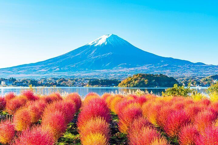 Mt. Fuji Tour Historic Village,Kawaguchiko Ropeway and Matcha