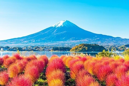 Mt. Fuji Tour Historic Village，Kawaguchiko Ropeway and Matcha