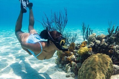 Explore Nassau's Best Spots with Snorkeling Tour