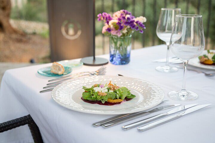 Treurer Nit del Oli. Food Experience with Olive Oil