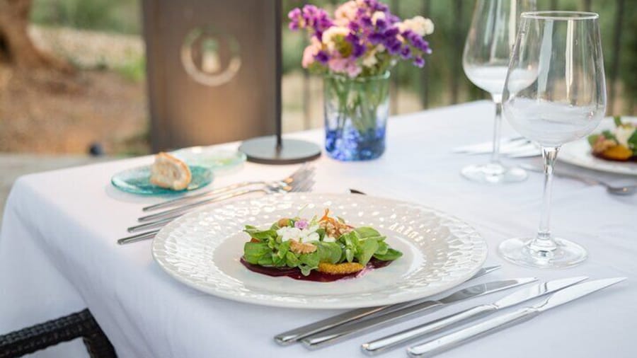 Treurer Nit del Oli. Food Experience with Olive Oil