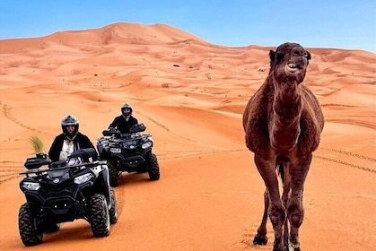 Merzouga Desert ATV Quads