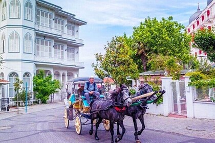 Princes Island Full Day Tour with Lunch, Guide and Hotel Transfer