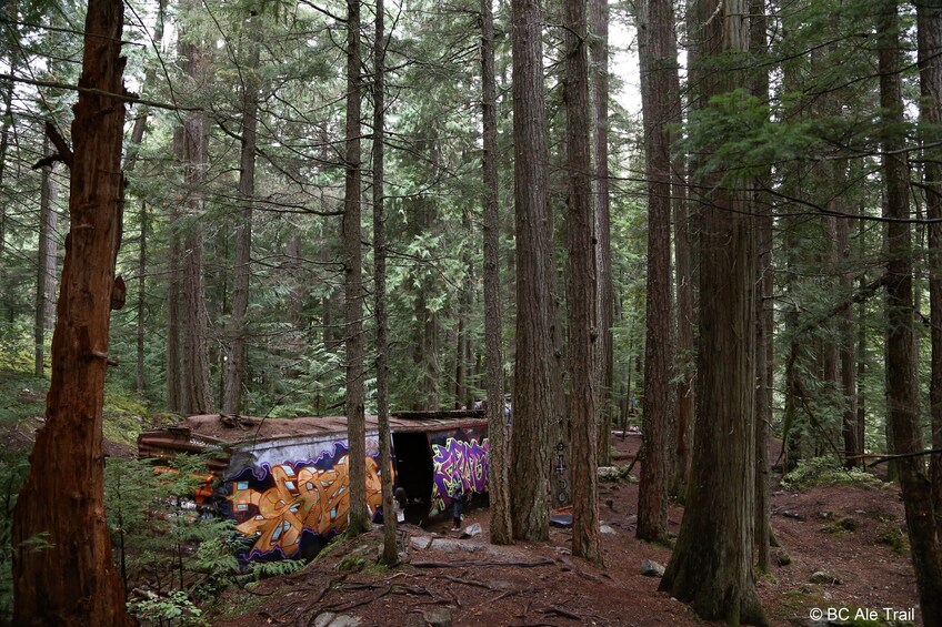 Train Wreck Adventure Walk - Private Guided