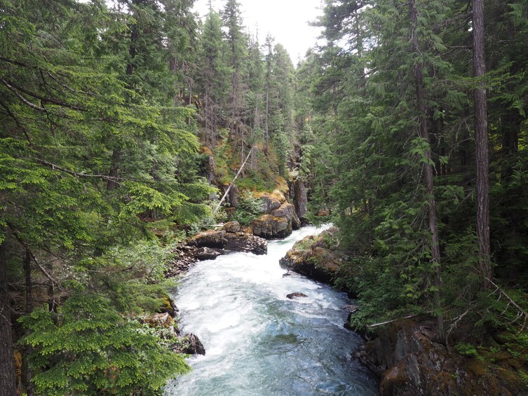 Train Wreck Adventure Walk - Private Guided