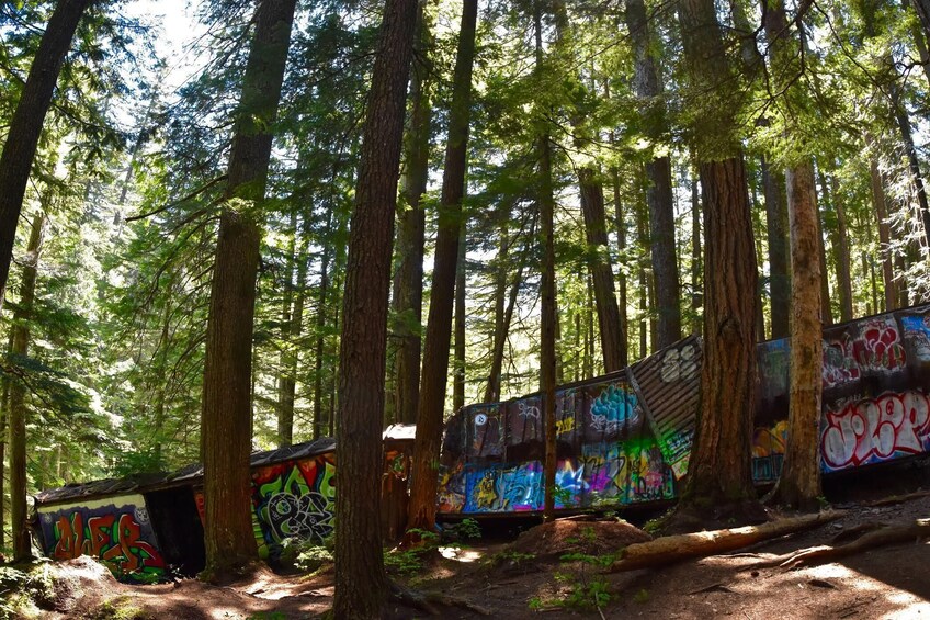Train Wreck Adventure Walk - Private Guided
