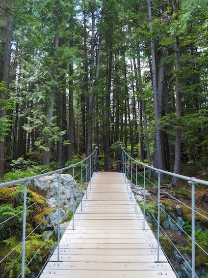 Train Wreck Adventure Walk - Private Guided