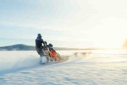 Kemijärvi Insider: Husky Self Drive 5km Safari