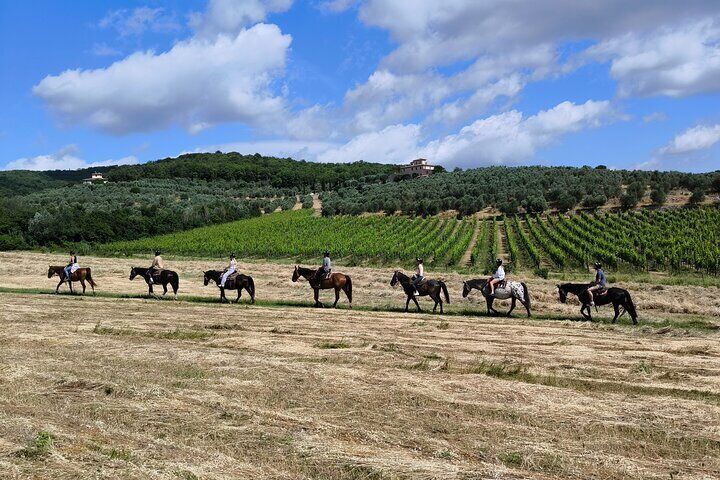 Horseback Riding in the Vineyards