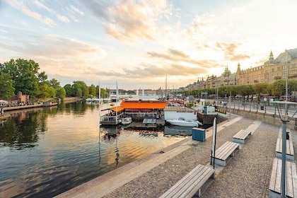 Exclusive Stockholm Day Tour: Old Town, Vasa Museum & City Views