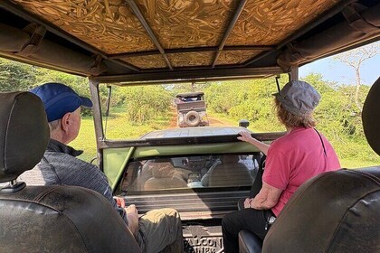 6 Day Sri Lanka Cultural Scenic Wildlife Tour Highlights