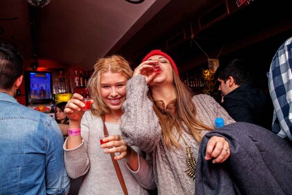 Prague: Pub Crawl and International Party