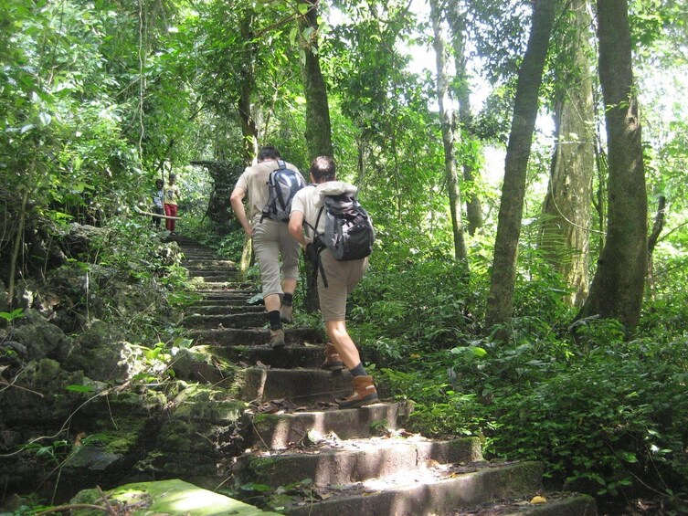 Group hiking in Cuc Phuong National Park 