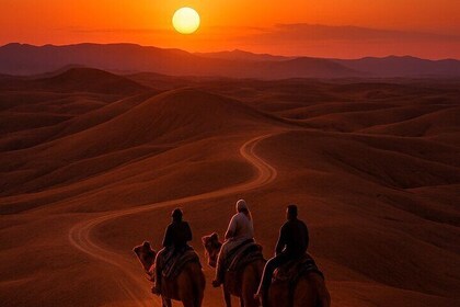 Sunset Dinner in Agafay Desert with Camel Ride and Fire Show
