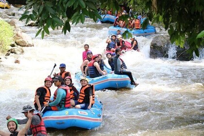 Phuket White Water Rafting 5 km, Flying Fox, and ATV