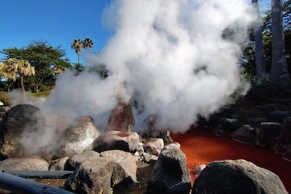 Private Beppu Hell Sightseeing Tour by Car