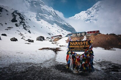Annapurna Base Camp Trek (11 Days)