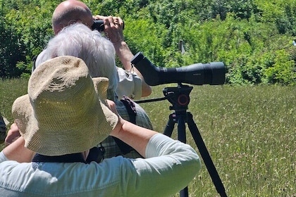 7 Day Trip - Birdwatching in Albania