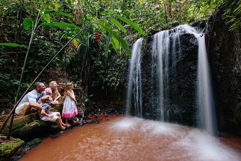 Cairns: Paronella Park Ticket