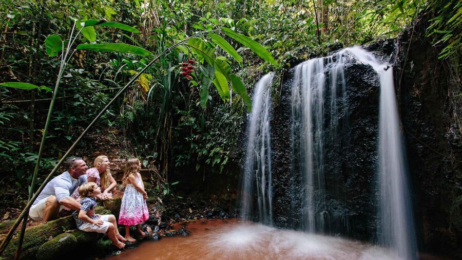 Cairns: Paronella Park Ticket