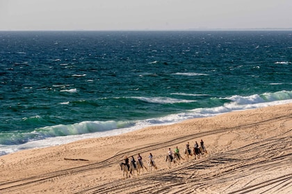 Melides: Horse Riding on the Beach with Wine Tasting