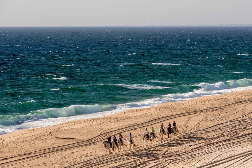 Melides: Horse Riding on the Beach with Wine Tasting