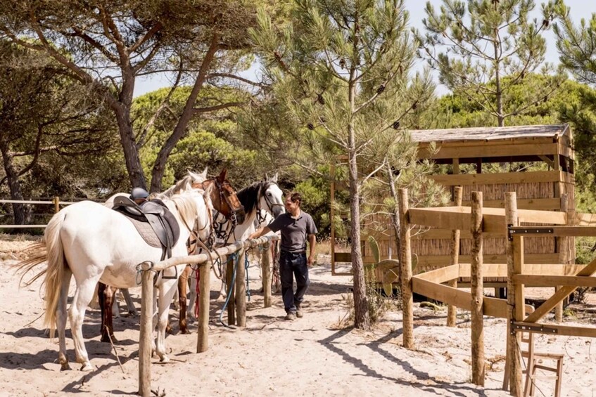 Picture 4 for Activity Melides: Horse Riding on the Beach with Wine Tasting