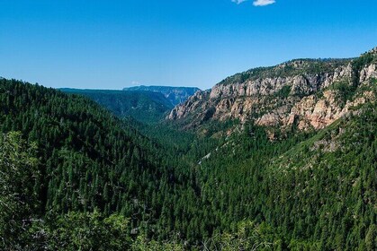 From Phoenix Private Grand Canyon Sedona Oak Creek Canyon Tour