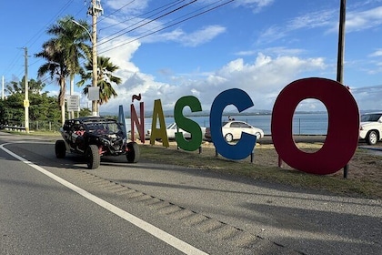Añasco-Bunny Fever Adventure Experience