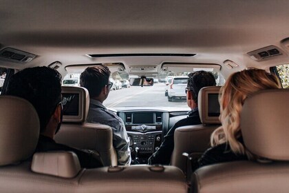 Private Driving Tour of Charleston