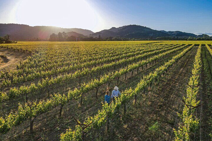 Bart and Barb O’Brien, owners of O’Brien Estate, in their vineyard.
