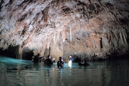 Chania Diving Trips for Certified Divers