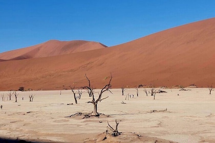 From Swakopmund: Sossusvlei and Moon Valley Budget Combo Tour