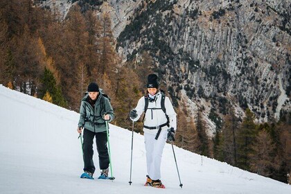 Panoramic snowshoeing in Bousson one hour DA Turin