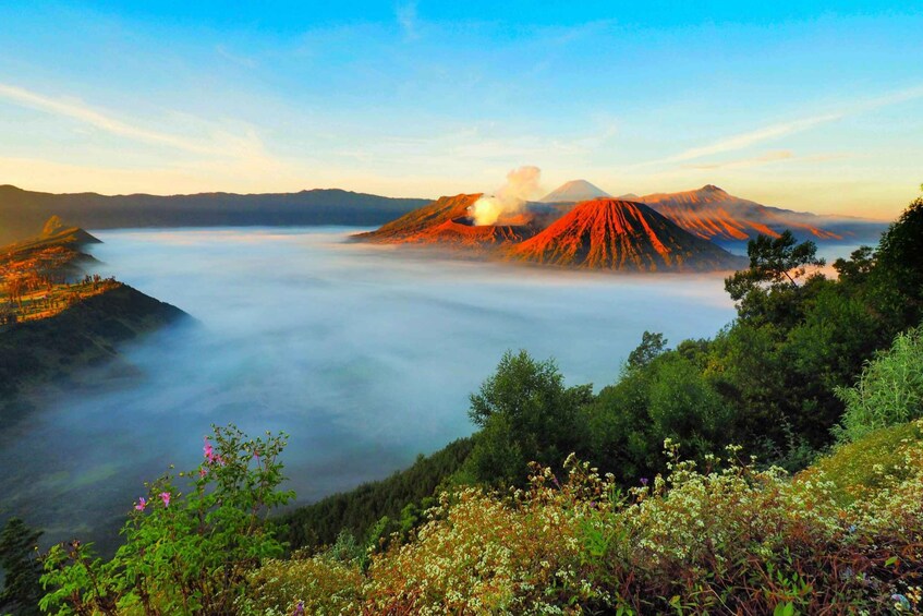 Mount Bromo, Ijen, and Blue Flames 3-Day Tour from Surabaya