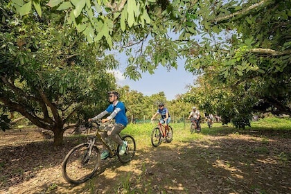 Half Day Historical and Cultural Experience Bicycle Tour