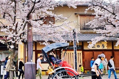 Kyoto Panoramic Day Tour Fushimi Inari Arashiyama and Temples