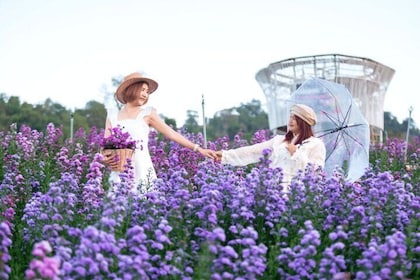 Chiang Mai Flower Hills to Mae Khi Cafe and Kriang Krai Market